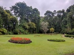 Image of a one of the garden areas within Royal Botanic Gardens.
